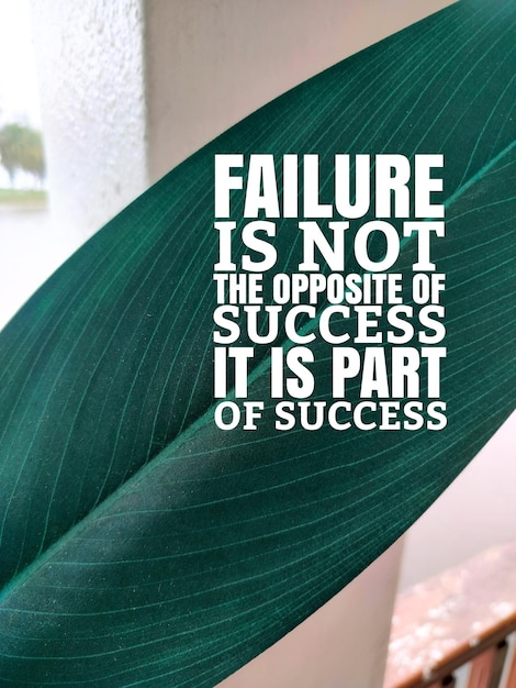 green leaf with the word FAILURE is not the opposite of success it is part of success words succes