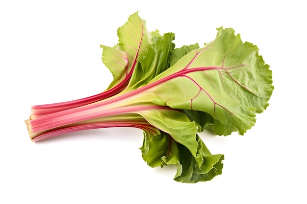 A green leafy vegetable with red stems