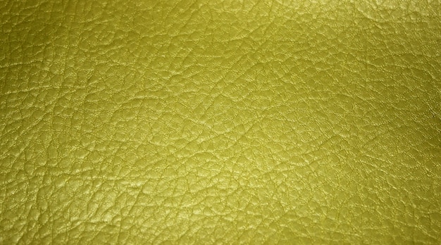 Green leather textured background