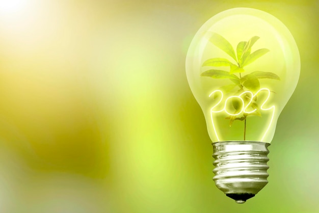 Green leaves and 2022 inside the light bulb. Happy New Year 2022