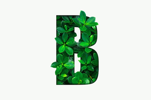 Green leaves alphabet