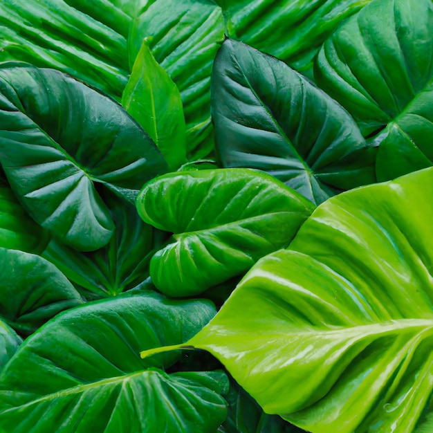 Green leaves background_ai_generated