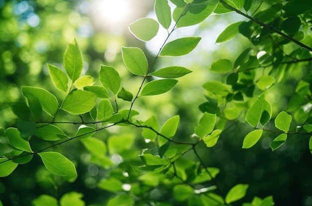 Green leaves background generative ai