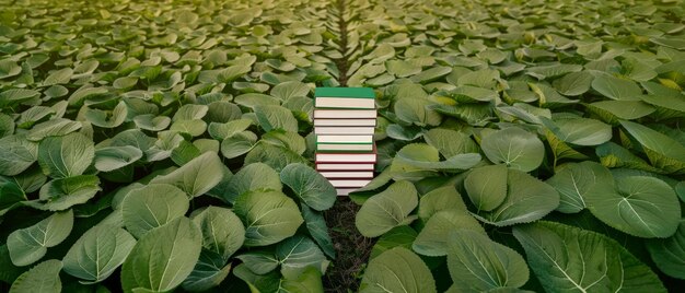 green leaves background lush foliage texture with colorful stripe pattern in field nature photography