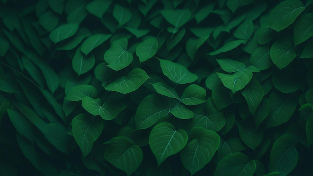 Green leaves background