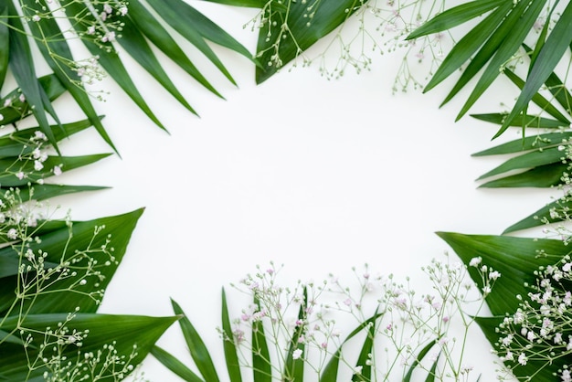 Green leaves frame Natural background Lush foliage white delicate flowers arrangement isolated on light round center copy space Greeting card Plant decor