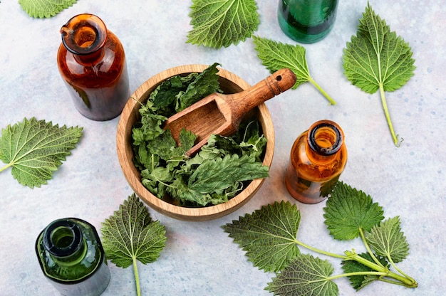 Green leaves fresh and dry nettle