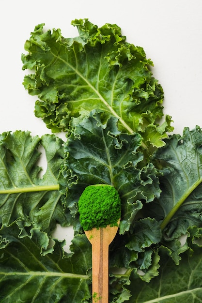 Green leaves of kale and kale powder on white background