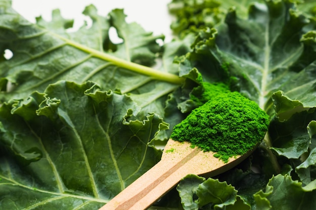 Green leaves of kale and kale powder on white background