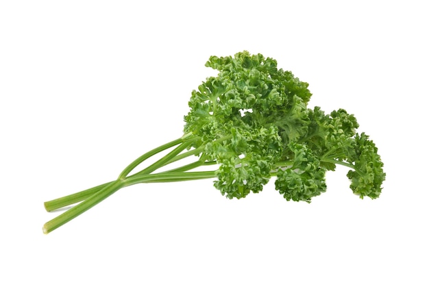 Green leaves of parsley isolated on white background