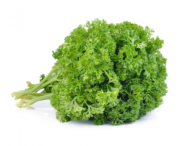 Green leaves of parsley isolated on white space