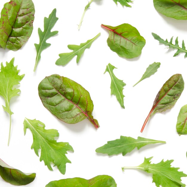 Green leaves of salad mix on white background