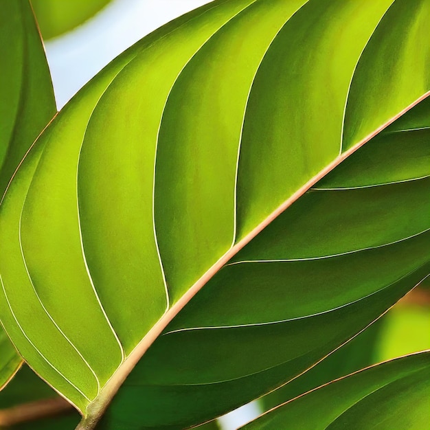 green leaves of a tree