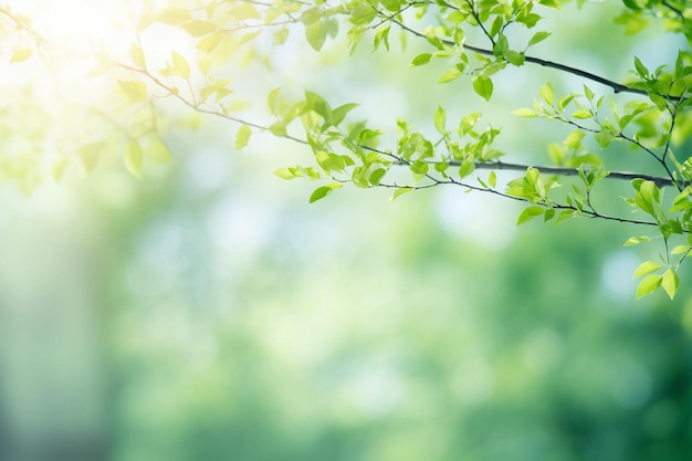 Green leaves with a blurred pattern background