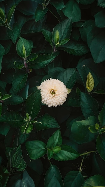 Photo green leaves with flowers background