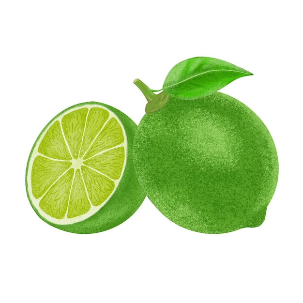 Green lemon illustration color painting