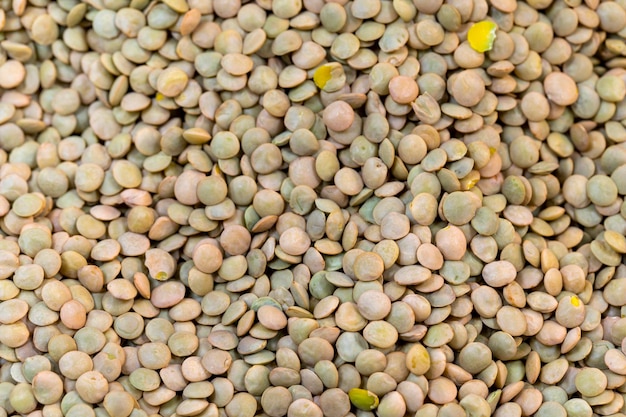 Green lentils Closeup green lentil grains Green lentils as background texture