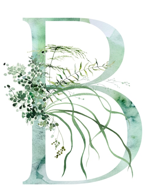 Green letter B with Watercolor whimsical tender leaves isolated illustration wedding element