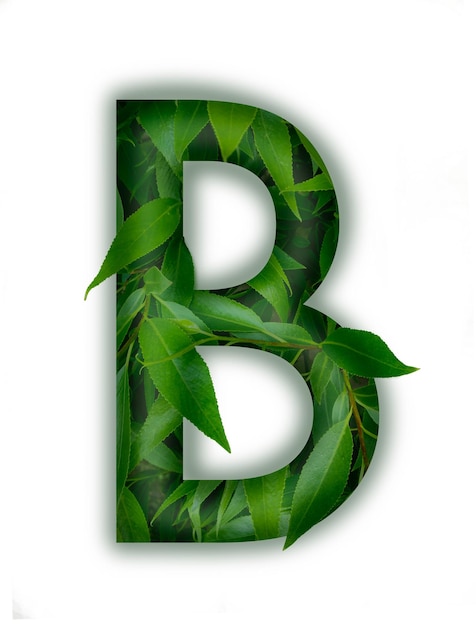 Green letter b