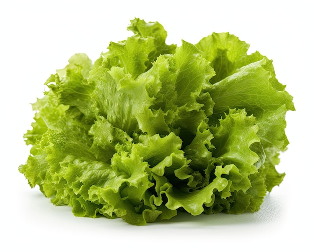 A green lettuce is on a white background