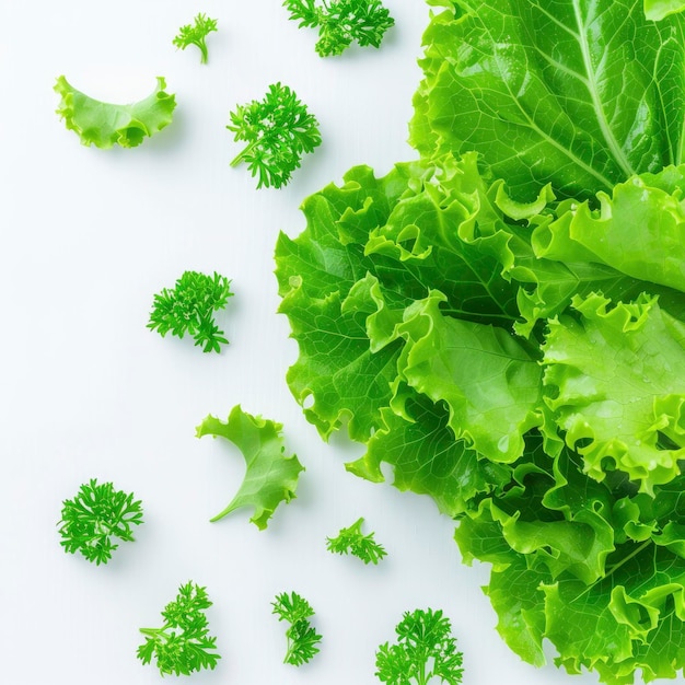 green lettuce leaves falling on a white background