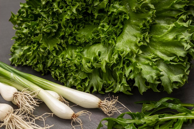 Green lettuce leaves fresh green onions with roots and arugula leaves Close up