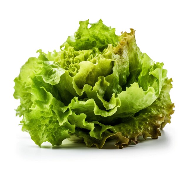 A green lettuce that is on a white background