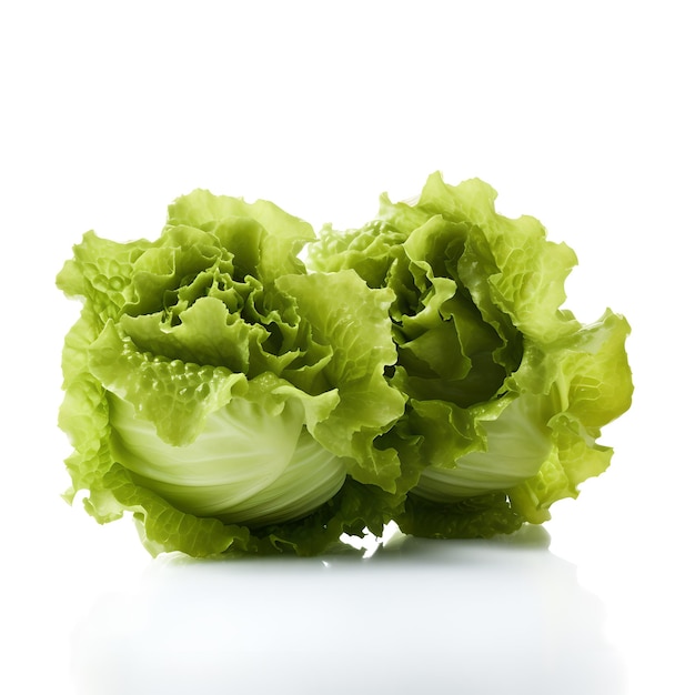 Green lettuce with white background