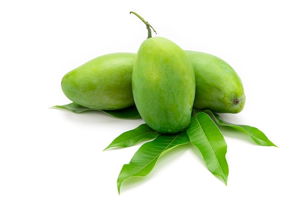 Green mangoes are placed on mango leaves isolated on white background.