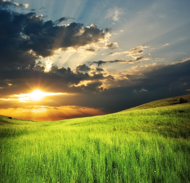 Green meadow in mountain.