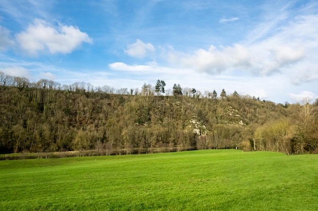 Green meadow turning into hill on which trees grow Blue sky with small clouds Rural landscape in France