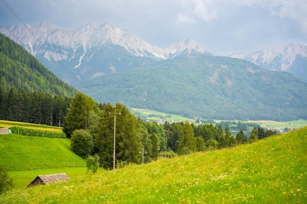 Green meadows with mountains and forest on backgound at sunset in summer Italy