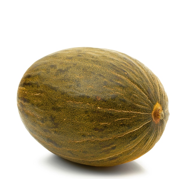 Green melon on white background