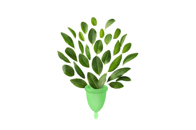 Green menstrual cup with green leaves top view. Women health menstrual cup as a zero waste concept