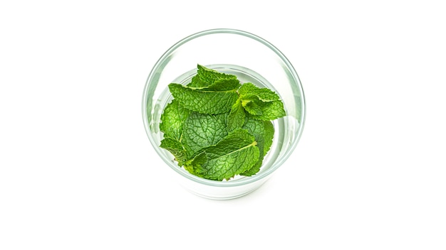 Green mint in glass.