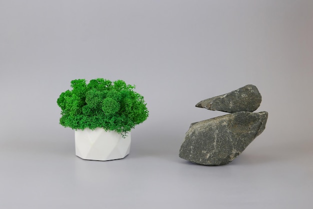 Green moss in a pot Podium made of nature stones Rock pedestal on a gray background Beauty product and other subjects promotion