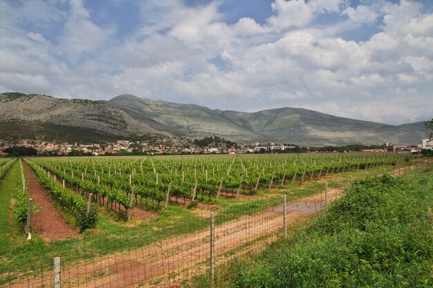 Green mountains of Bosnia and Herzegovina