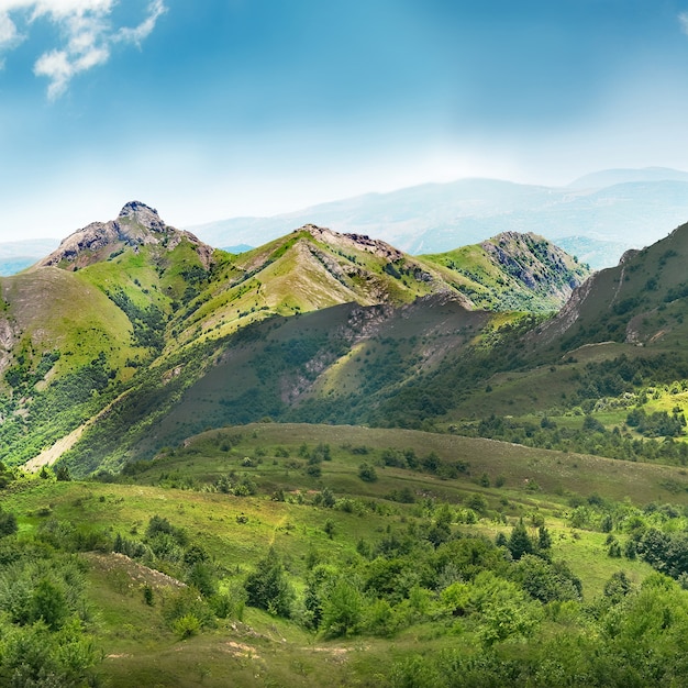 Green mountains covered with forest on the blue sky