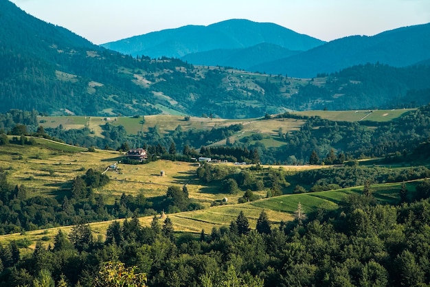 Green mountains that are completely covered with forests and glades The glades that stretch through the forest reflect bright green grass and various colors of flowers