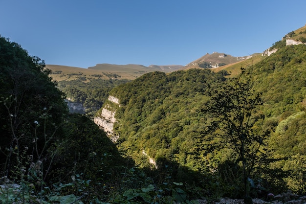 Green nature landscapes of KabardinoBalkaria Caucasus Russia