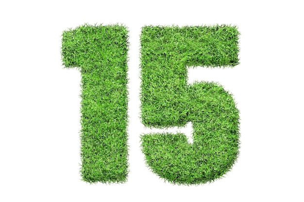 A green number 15 on white background