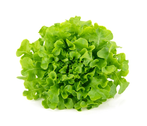 Green oak lettuce isolated on white background