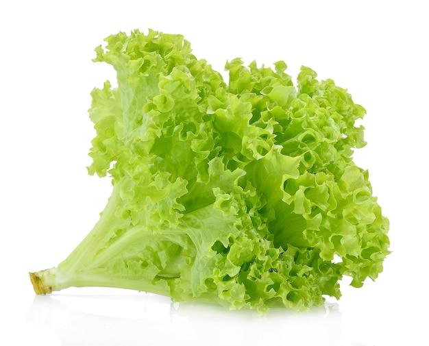 Green oak lettuce isolated on white.