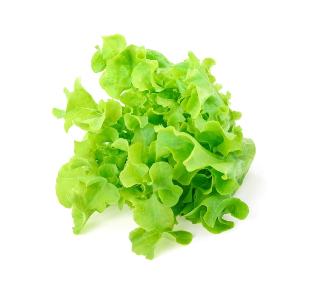 Green oak lettuce on white background