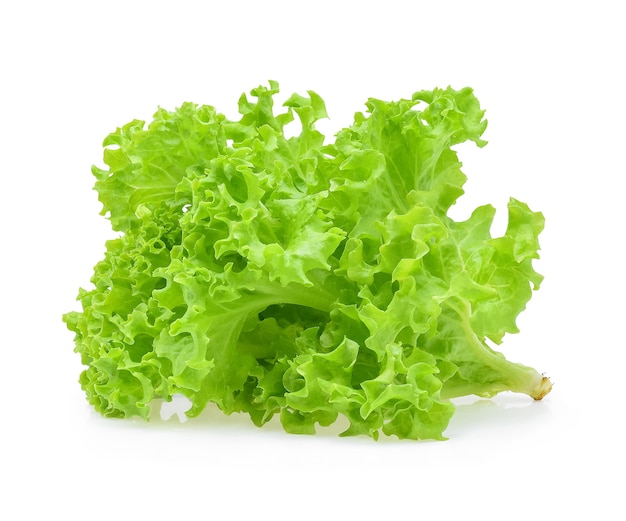 Green oak lettuce on white