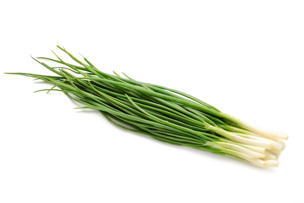 Green onion isolated on white background