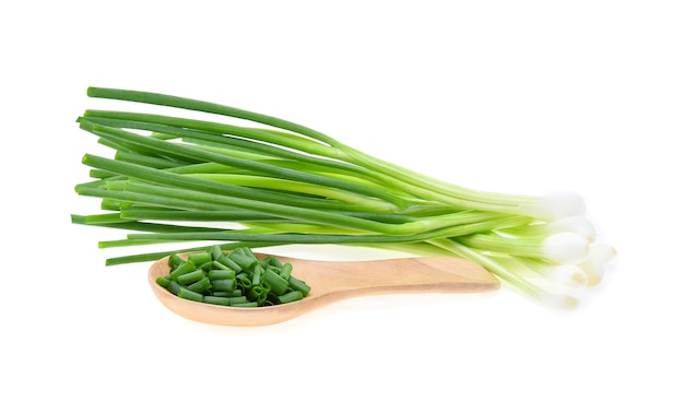 Green onion isolated on the white background