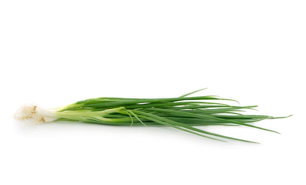 Green onion isolated on the white surface