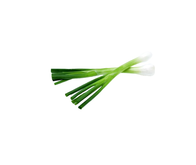 Green onion isolated on white