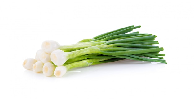 Green onion isolated